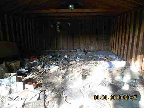 18103 Cardoni (6)_m.jpg